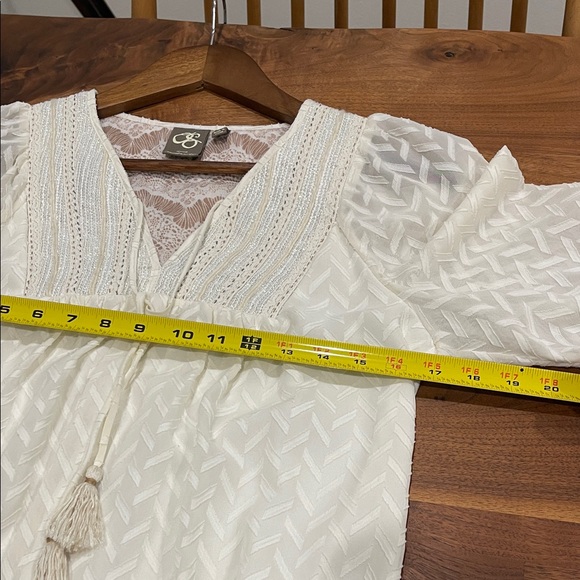 One September Anthropologie Cream Sheer Lace Blouse - Picture 4 of 8